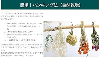 Amazon｜生花からスワッグ ドライフラワーへ 変化を楽しむ花束